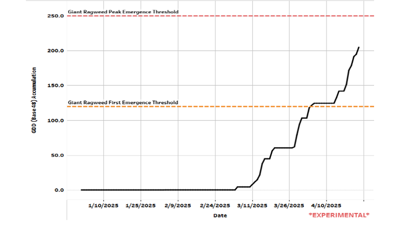Weed Emergence Scouting Tool