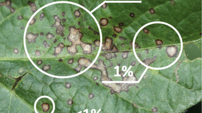 Crop Protection Network: Severity Estimation Tool