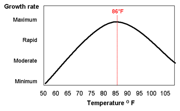 Stress Degree Day Graph