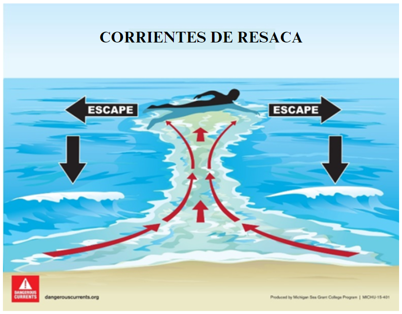 Escape a rip current diagram
