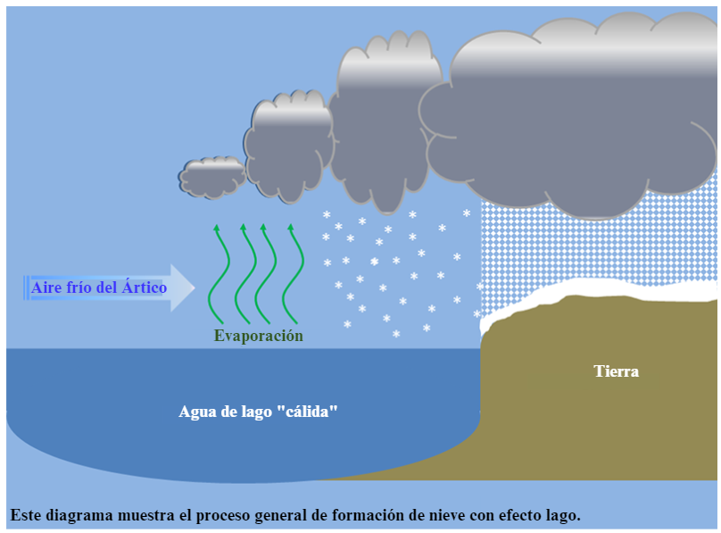 General process of lake-effect storm formation