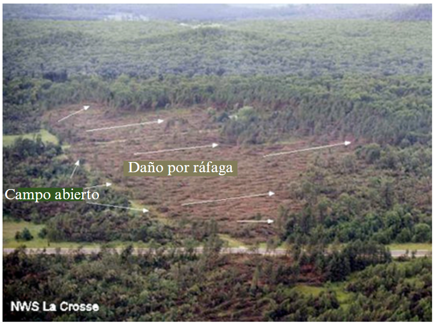 Downburst Damage