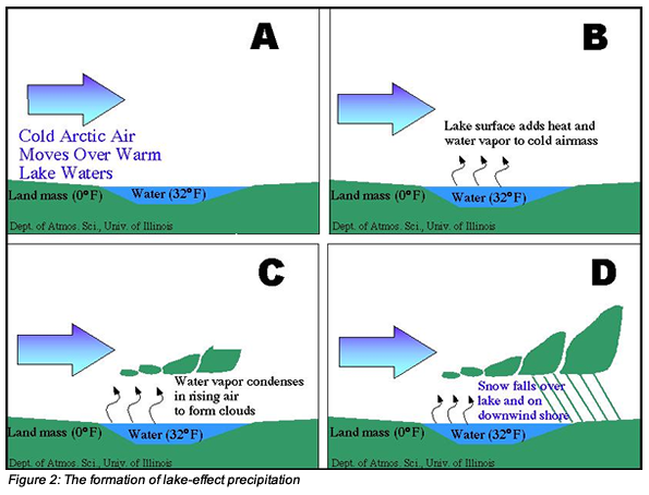The formation of lake-effect precipitation