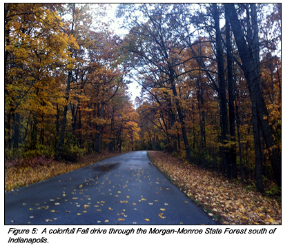 Figure 5: Morgan-Monroe State Forest