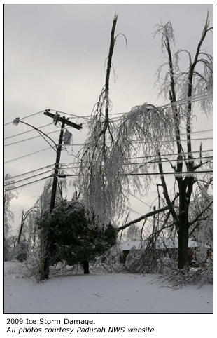 Ice storm damage to trees and power lines