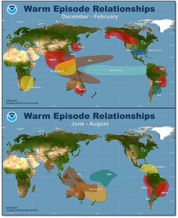 El Niño Warm Episode Relationships
