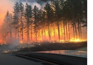 Wildfire image