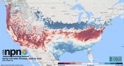 Spring Leaf Index Anomaly map