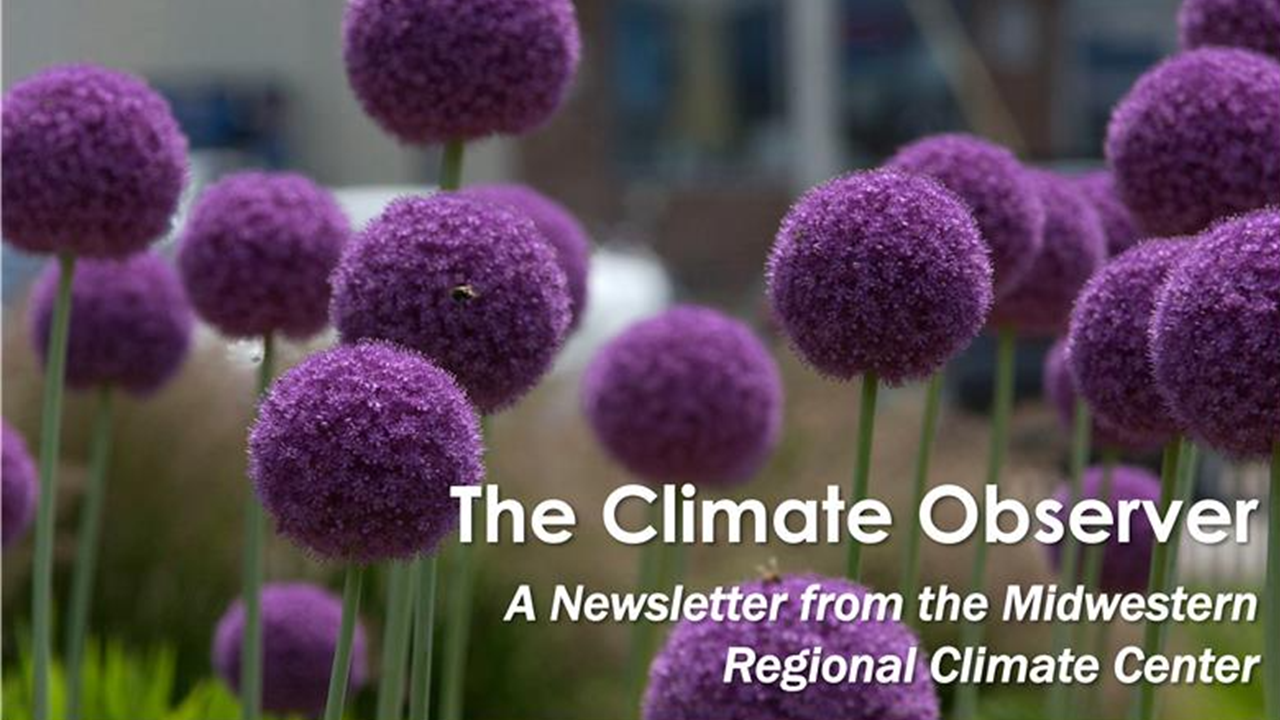 The Climate Observer