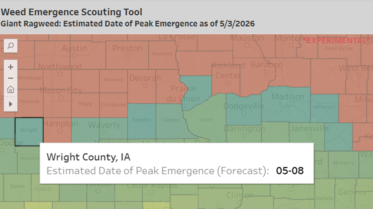 Weed Emergence Scouting Tool