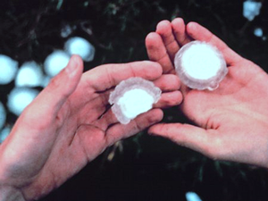 Hailstones often have a ringed appearance