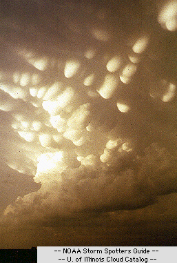 Photo of a mammatus cloud - Univ of Illinois