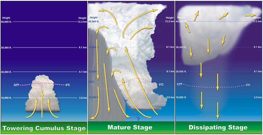 Life cycle of a thunderstorm