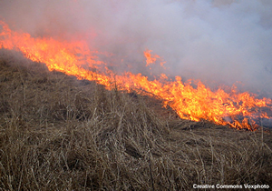 Burning prairie grasses