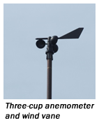 Three-cup anemometer