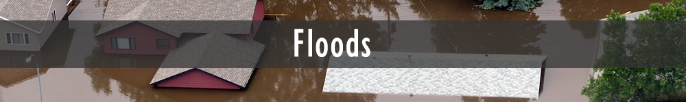 Floods (image courtesy Andrea Booher/FEMA)