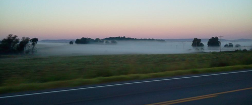 Fog as a result of radiational cooling