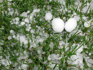 Hail stones from a storm in Colorado
