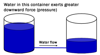 Water in the full container exerts greater downward force