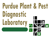 Purdue Plant and Pest Diagnostic Laboratory