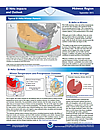 Midwest El Niño Report